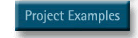 examples